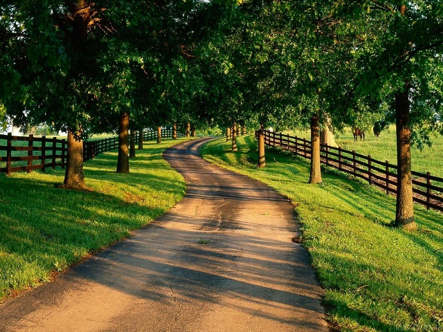 网络短信在线发送